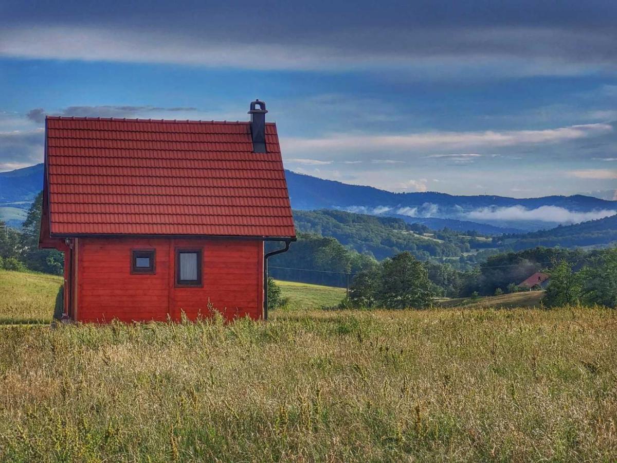 Villa Brvnara Zecevic Zlatibor Exterior foto